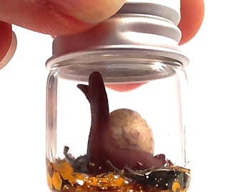 May include: A small glass jar with a silver lid contains a miniature purple snail with a white shell. The jar is filled with orange glitter.