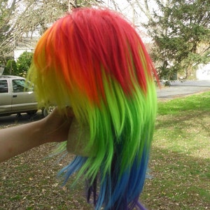 May include: A long, rainbow-colored wig with red, orange, yellow, green, blue, and purple strands. The wig is styled in a layered, flowing fashion.