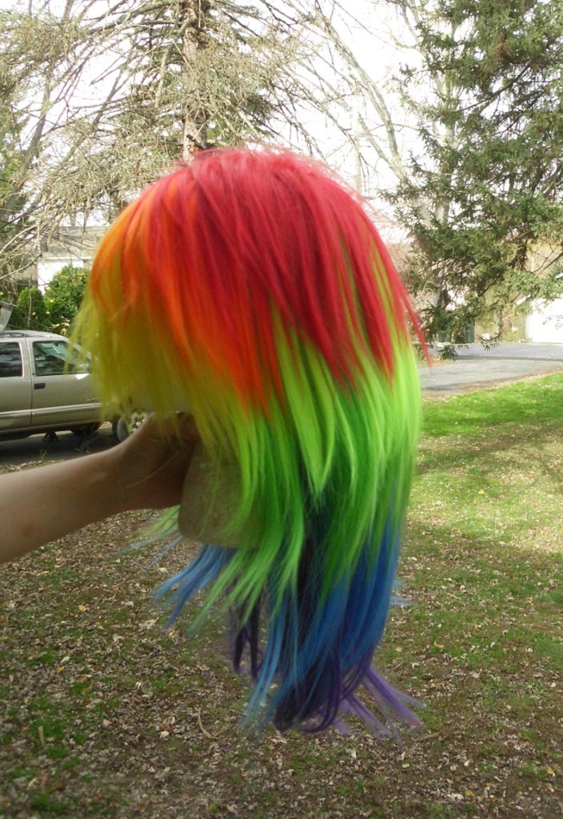 May include: A long, rainbow-colored wig with red, orange, yellow, green, blue, and purple strands. The wig is styled in a layered, flowing fashion.