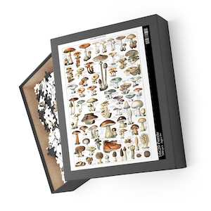 Puzzle for Adults, Mushroom Chart, Champignons, Fungus Vintage Bookplate, Adolphe Millot, 252/500 Pieces, Unique Jigsaw Family Game Fun Gift