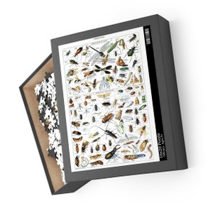 Puzzle for Adults, Insect Chart, Bug Insectes, Vintage Bookplate, Adolphe Millot, Unique Jigsaw, Family Game, Fun handrawn, toy illustration