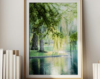 Boston Wall Art, Boston Public Garden, Weeping Willow Tree Decor, Green Nature Print (unframed photography)