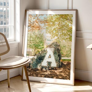 May include: A framed rectangular wall art print featuring a large, weathered grey boulder with a prominent white letter A painted on its front. The boulder is situated in a park-like setting with green and yellow autumn trees in the background.