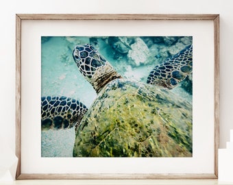 Sea Turtle Wall Art | Unframed | Hawaii Print, Ocean Photography, Tropical Surf Decor, Turtle Decor, Blue, Green, Turtle Poster | Many Sizes