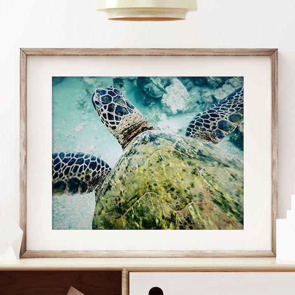 Sea Turtle Wall Art | Unframed | Hawaii Print, Ocean Photography, Tropical Surf Decor, Turtle Decor, Blue, Green, Turtle Poster | Many Sizes