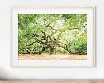 Charleston Photography, Tree Wall Art, Angel Oak Tree Print, Low Country Decor, Live Oak, Green Nature Wall Art, Landscape | Pick Your Size