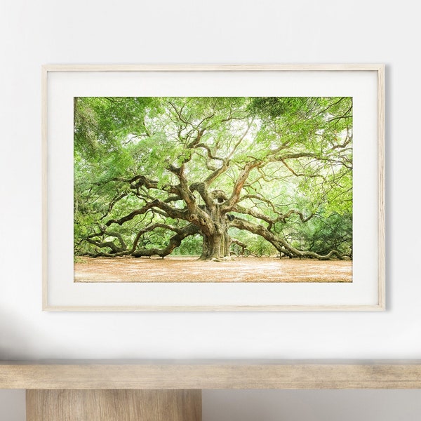 Charleston Photography, Tree Wall Art, Angel Oak Tree Print, Low Country Decor, Live Oak, Green Nature Wall Art, Landscape | Pick Your Size