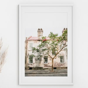 Charleston Art | Photography Print - Unframed | Rustic Home Print, Charleston Windows, Pink and Beige Art | Pick Your Size