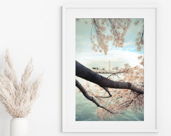 Washington DC Art, Cherry Blossoms Print, DC Photography - Unframed, Washington Monument, Tidal Basin, Cherry Tree Wall Decor | Many Sizes
