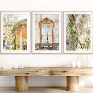 Savannah Georgia Art, Print Set of 3 | Savannah Photography - Unframed | Wisteria Art, Architectural Print,  Live Oak Tree with Spanish Moss