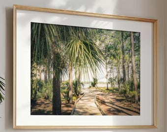 Hilton Head Wall Art, Palm Tree Print, South Carolina Coastal Decor, Sea Pines, Boardwalk Print, (unframed photography)