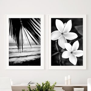 May include: Two black and white framed prints. The print on the left shows a silhouette of a palm tree branch against a blurry background of an ocean with waves. The print on the right shows two white plumeria flowers against a dark background.