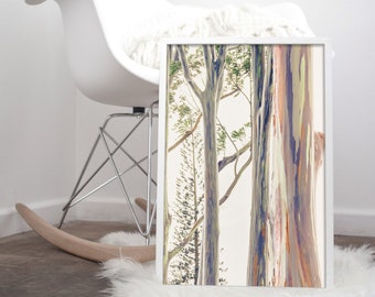 Hawaiian Art Tree Print Rainbow Eucalyptus Tree Hawaii Etsy
