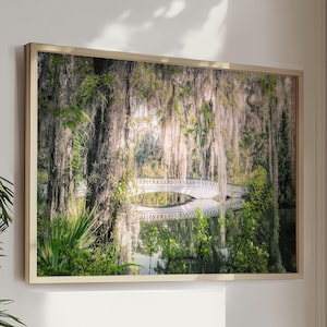 Art de Charleston, impression paysage Low Country, Magnolia Gardens, art de la pépinière, chêne vivant avec mousse espagnole, pont blanc, Low Country