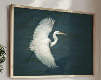 Vogel Art, Weißer Vogel Dekor Reiher Druck Küsten Wand Kunst Vogel Geschenk Charleston Druck Wohnzimmer Kunst Vogel Kinderzimmer Druck Strand Haus Kunst Natur