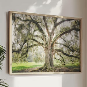 Tree Print, Live Oak Tree with Spanish Moss, Unframed Photography, Low Country Landscape, Charleston Print, Nursery Wall Art | Many Sizes