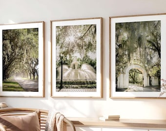 Savannah Georgia Art Print Set of 3 Wormsloe Photography Live Oak Tree Spanish Moss Southern Home Decor Forsyth Park Tree Wall Art