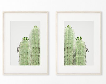 Phoenix Arizona Art, Set of 2 - Unframed Photography Prints |  Saguaro Cactus Prints, Southwest Artwork, Gila Woodpecker, Desert Bird Art