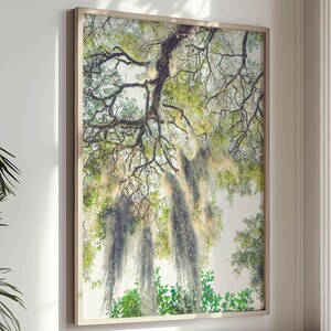Spanish Moss Print, Live Oak Tree Art Tree Photography Low Country Art Savannah Georgia Print Charleston Decor Beaufort SC Green Nature Art