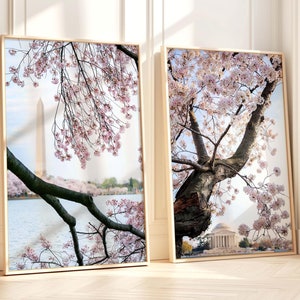 Washington DC Art, Set of 2 Cherry Blossoms DC Photography DC Print Set Washington Monument Cherry Tree Art Jefferson Memorial