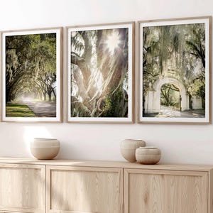 Savannah Georgia Kunst, Print 3er-Set | Wormsloe Fotografie - Ungerahmt | Eiche mit spanischem Moos, Wohnkultur, Baumschmuck