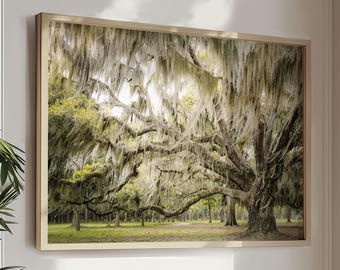 Tree Photography, Low Country Landscape Art, Live Oak Tree with Spanish Moss, Charleston, Beaufort SC, Green Nature - "Low Country Breeze"