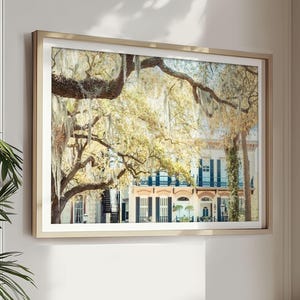 Savannah Georgia Art, Savannah Photography - Unframed | Savannah Home, Spanish Moss, Savannah Print, Southern Home Decor | Many Sizes
