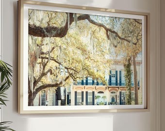 Savannah Georgia Art, Savannah Photography - Unframed | Savannah Home, Spanish Moss, Savannah Print, Southern Home Decor | Many Sizes