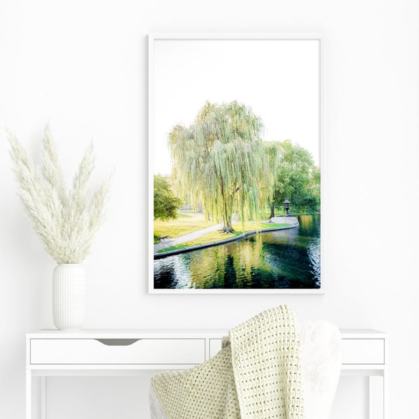 Boston Photography - Unframed | Weeping Willow Tree Decor, Boston Public Garden Art, Green Nature Print, Green Tree Decor | Pick Your Size