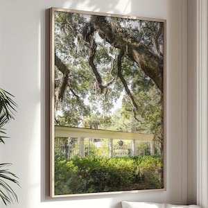 Savannah Georgia Print, Live Oak Tree Art Spanish Moss Forsyth Park Fragrant Garden Tree Landscape Green Wall Art Lowcountry Decor SCAD