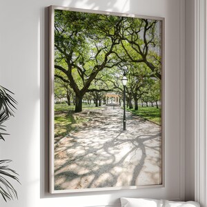 Charleston Wall Art, The Battery Print, White Point Garden Photography - Unframed | Live Oak Trees, Nature Photography, Southern Home