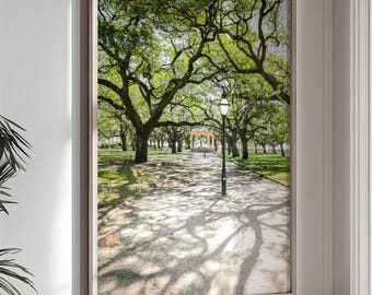 Charleston Wall Art, The Battery Print, White Point Garden Photography - Unframed | Live Oak Trees, Nature Photography, Southern Home