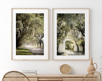 Savannah Wall Art, Print Set of 2, Georgia Photography - Unframed, Wormsloe Photography, Southern Home Decor, Live Oak Tree, Spanish Moss