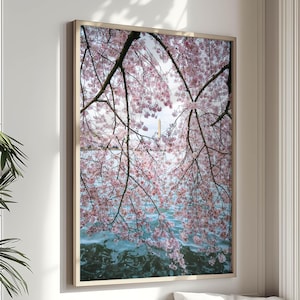ワシントン DC の桜とワシントン記念塔の写真、DC の自然プリント、タイダルベイスン、桜の木のアート「ブロッサムウォール」