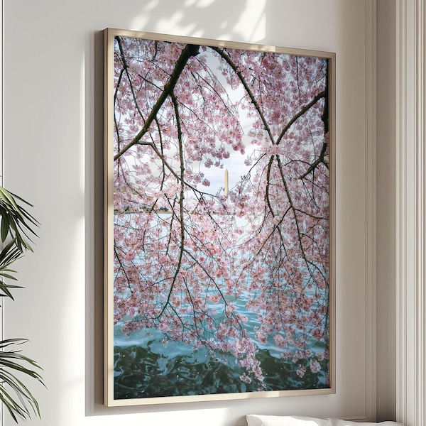 Washington DC Photography of Cherry Blossoms and Washington Monument, DC Nature Print, Tidal Basin, Cherry Tree Art "Blossom Wall"