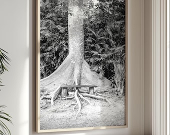 Hiking Art, Mexico Print Tree Roots Outdoor Wall Art Cozumel Black and White Nature Photography (unframed)