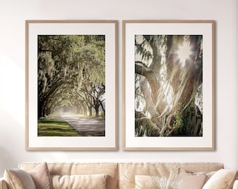 Savannah Wall Art, Print Set of 2, Georgia Photography - Unframed, Wormsloe, Oak Tree Prints, Southern Home Decor, Live Oak, Spanish Moss