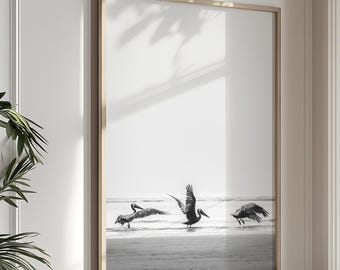 以下が含まれることがあります： 浜辺にいる3羽のペリカンを描いた、白黒の額入りプリント。鳥たちは動きの中で捉えられており、1羽は飛行中です。このアートワークは、自然光と鉢植えのある部屋に展示されています。