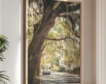 Savannah Art, Georgia Print, Live Oak Tree Wall Art Living Room Decor Forsyth Park Green Wall Art SCAD (unframed photography)