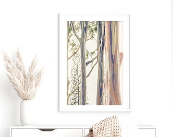 Hawaii Art, Rainbow Tree Print, Abstract Photography - Unframed, Rainbow Eucalyptus Tree, Nursery Art, Pastel Nature Print | Many Sizes