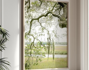 Charleston Art, Lowcountry Print, Marsh Wall Art, Live Oak Tree, Spanish Moss, Ravenel Bridge (unframed photography)