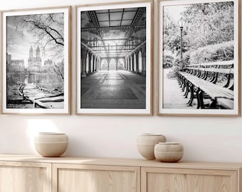Puede incluir: Tres fotografías en blanco y negro enmarcadas de un parque de la ciudad. La primera foto muestra una vista de un lago con edificios en el fondo. La segunda foto muestra un paseo con arcos. La tercera foto muestra una fila de bancos debajo de un árbol.