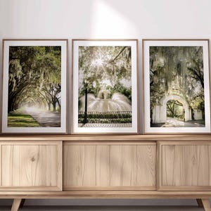 Savannah Georgia Art Print Set van 3 Wormsloe fotografie Live Oak Tree Spanish Moss Southern Home Decor Forsyth Park Tree Wall Art