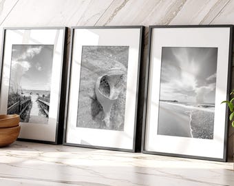 Myrtle Beach Art, Black and White Coastal Wall Art, Beach Prints, Seashell Decor, South Carolina  (unframed photography)