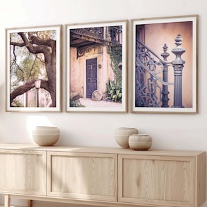 Savannah Georgia Art, Savannah Photography Savannah Door Print Oak