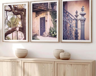 Savannah Georgia Art, Savannah Photography Savannah Door Print Oak