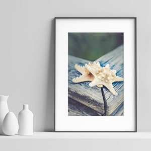Set of 3 Coastal Wall Art Surf Decor Beach Photography Modern Coastal Art Starfish Black and White Print Set Beach House Decor
