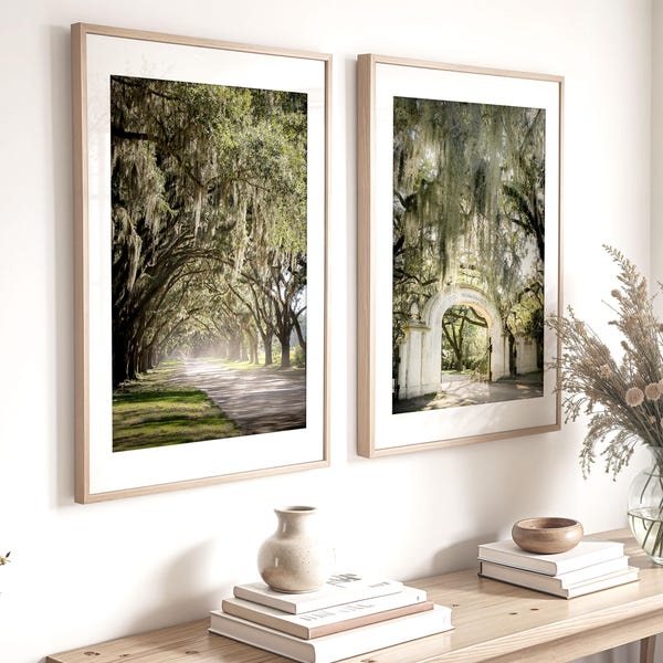 Arte mural de Savannah, juego de 2 láminas, fotografía de Georgia (sin marco), fotografía de Wormsloe, decoración sureña para el hogar, roble vivo, musgo español.