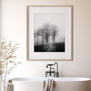 Foggy Tree path photography print.