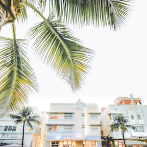 South Beach photography print showing 3 Art Deco hotels framed under a palm tree on the top left.  Soft pastel colors.
